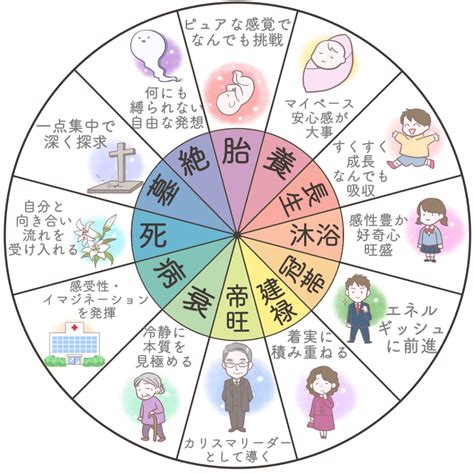 十二運星|四柱推命における十二運（十二運星）の意味と鑑定法 